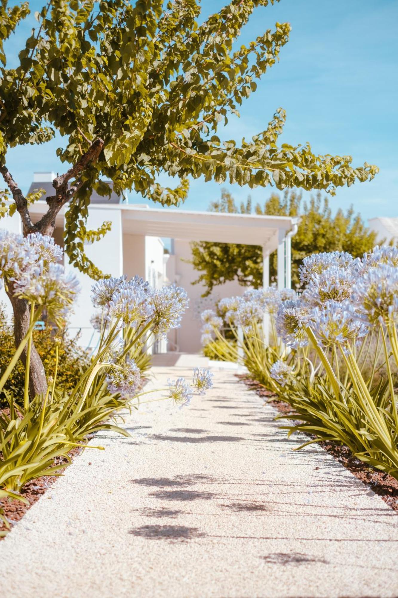 Iconica Luxury Suites Alberobello Ngoại thất bức ảnh